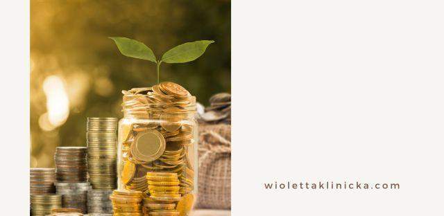 jak mądrze gospodarować pieniędzmi 